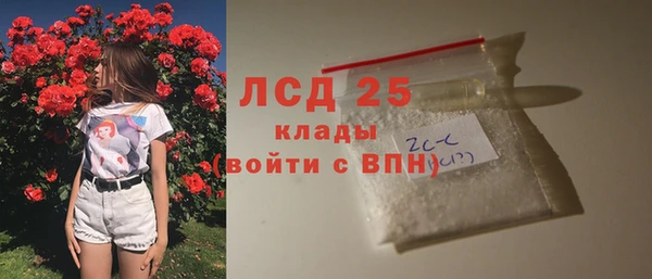 скорость Каменногорск