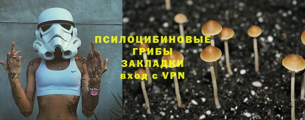 скорость Каменногорск